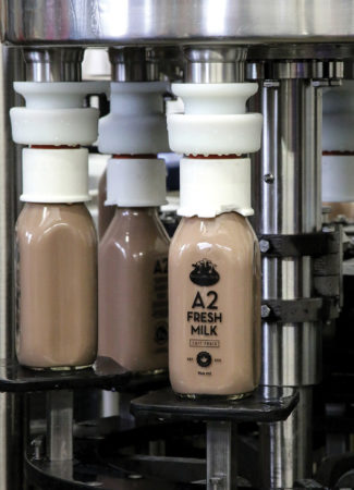 A2 chocolate milk in bottles. 