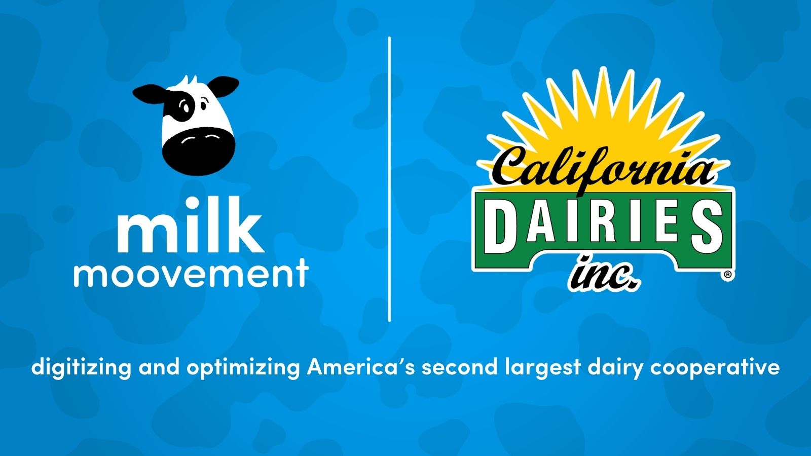 Digitizing and optimizing America's second largest dairy cooperative: California Dairies Inc