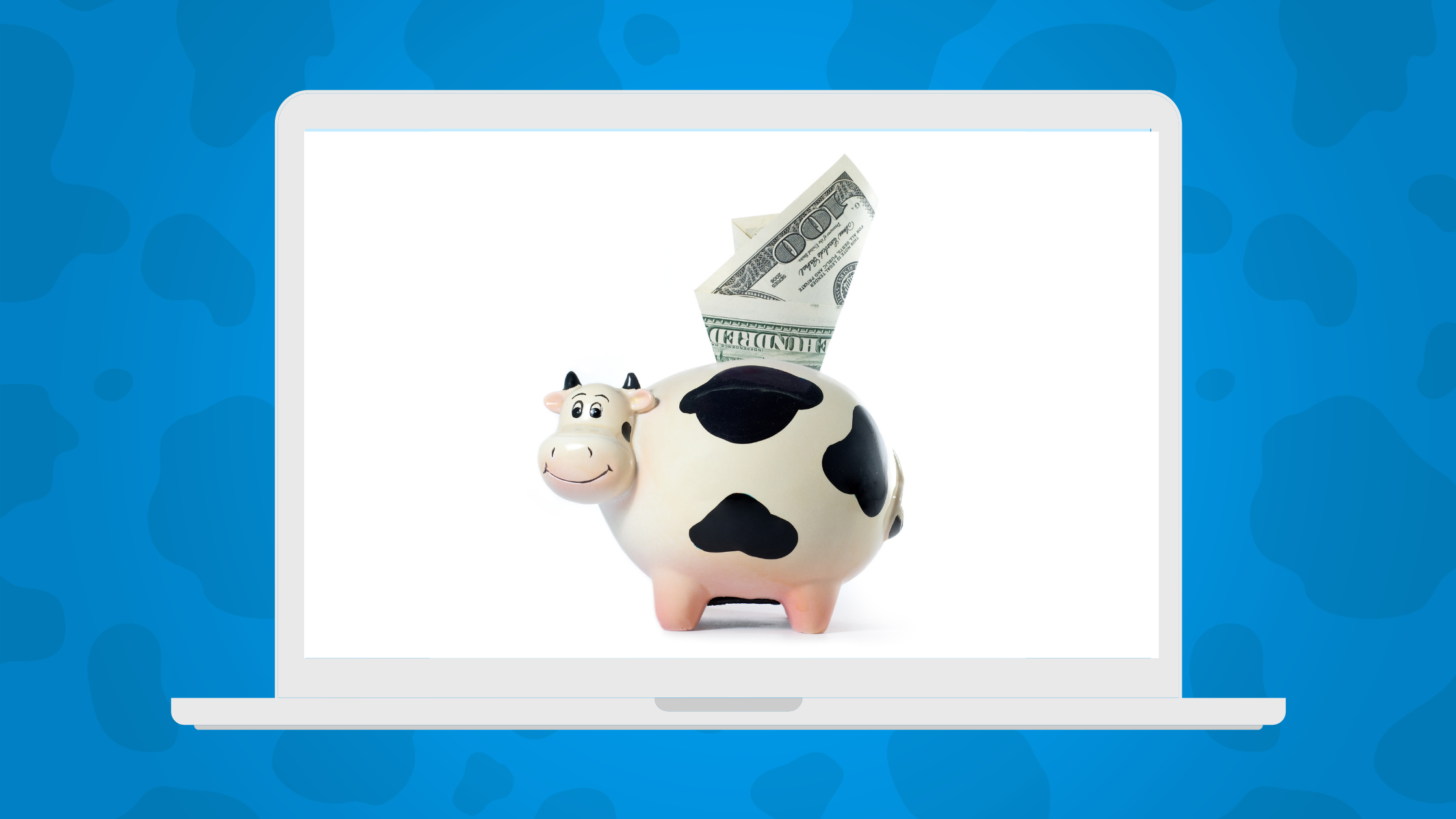 Cow piggy bank with money sticking out on a laptop screen